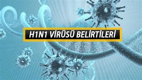 h1n1 virüsü belirtileri
